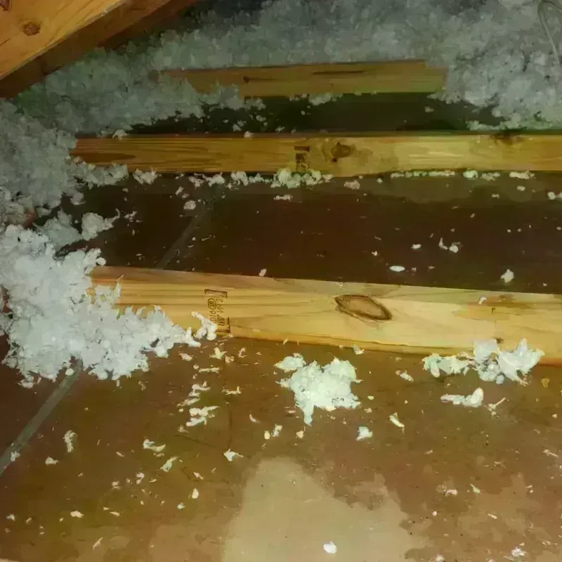 Attic Water Damage in Dublin, VA