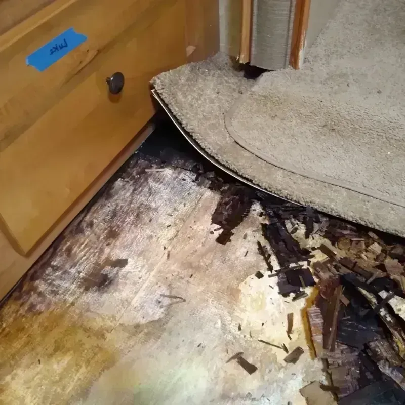 Wood Floor Water Damage in Dublin, VA